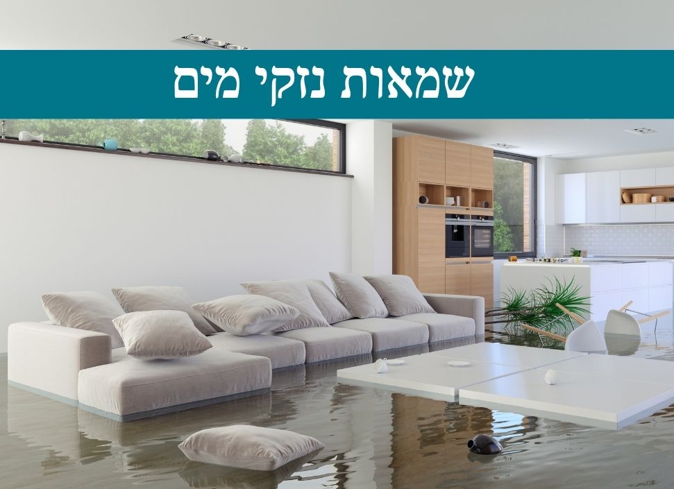 שמאות נזקי מים